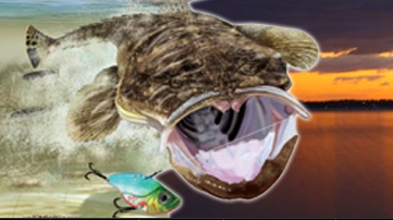 Two weeks till 2013 Flathead Classic